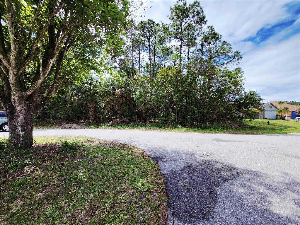 1720 Lantana Court - Photo 1