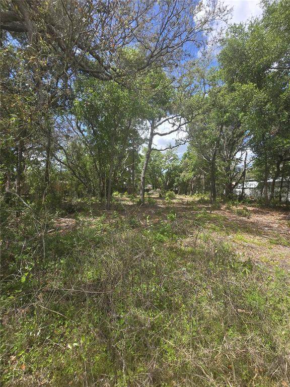 8140 Walt Williams Road - Photo 1