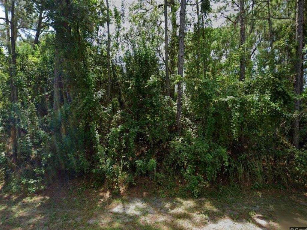 1250 Gingold Street - Photo 1