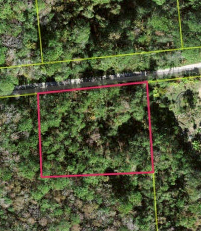 Lot 48 Amelia Trail - Photo 1