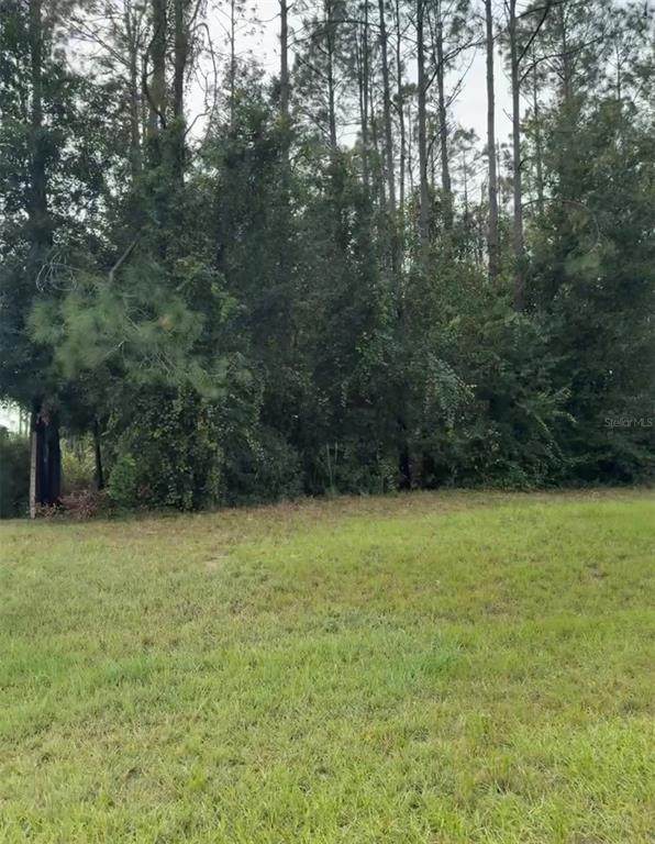  Lake Smith Road - Photo 1
