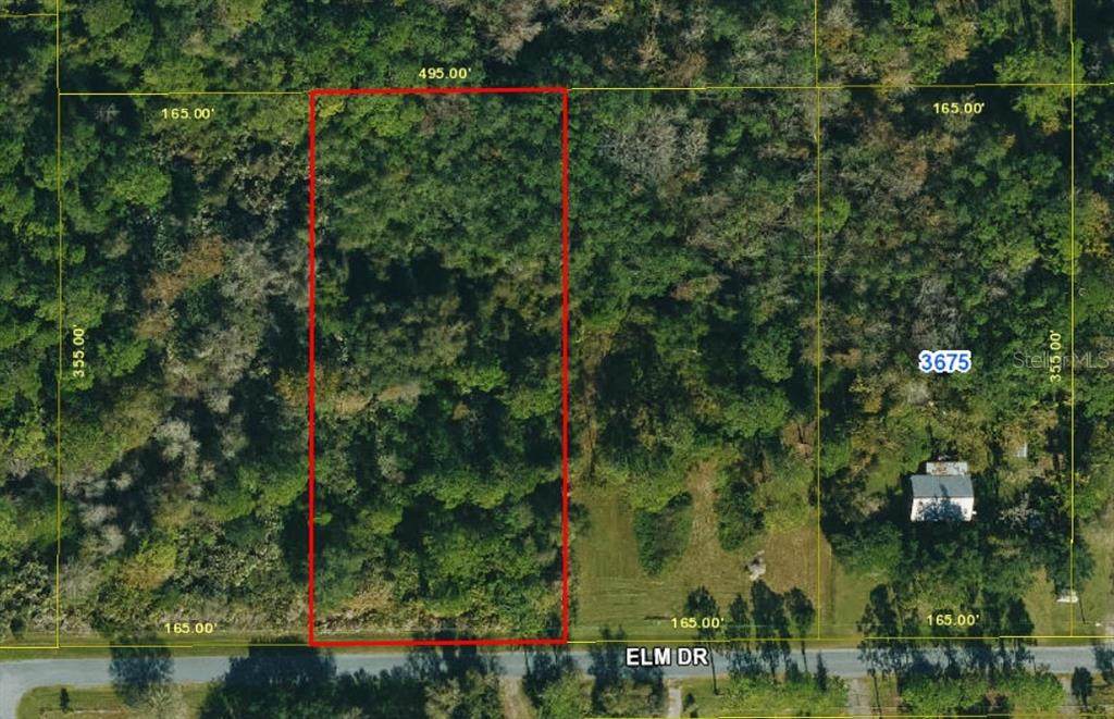  Elm Drive - Photo 1