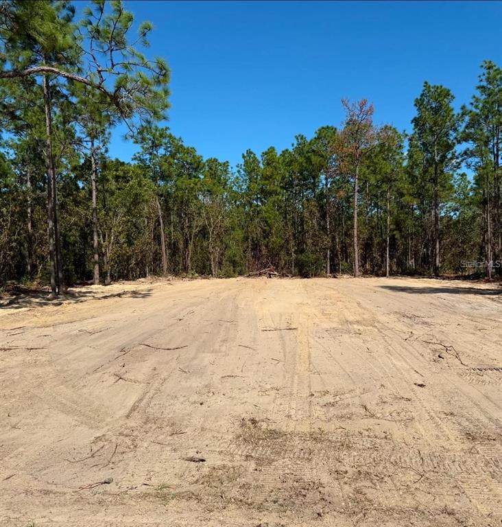13831 89TH Circle - Photo 1