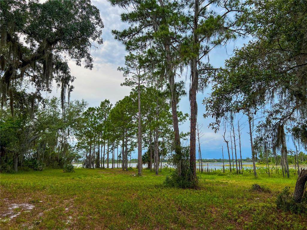 2332 Mitchell Island Road - Photo 1