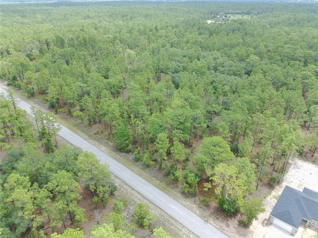  Buena Vista Road - Photo 1