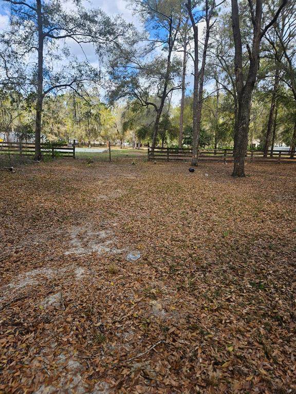 5463 Tangelo Lane - Photo 1