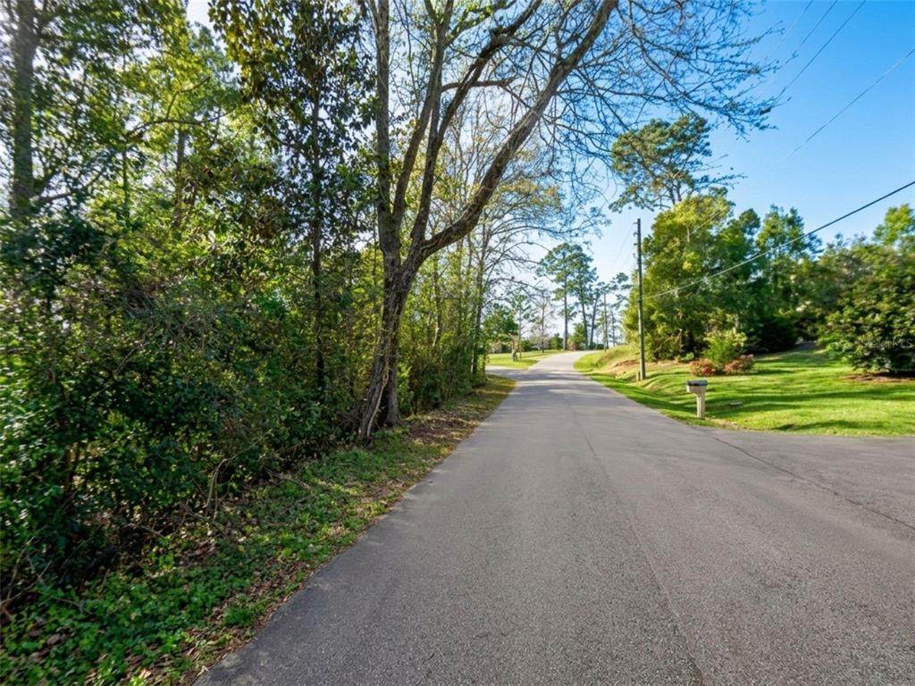  Satsuma Rd - Photo 1