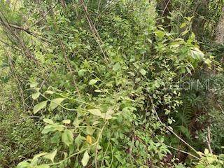  Sweetwater Trail - Photo 1