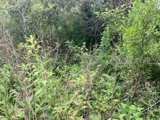  Sweetwater Trail - Photo 1