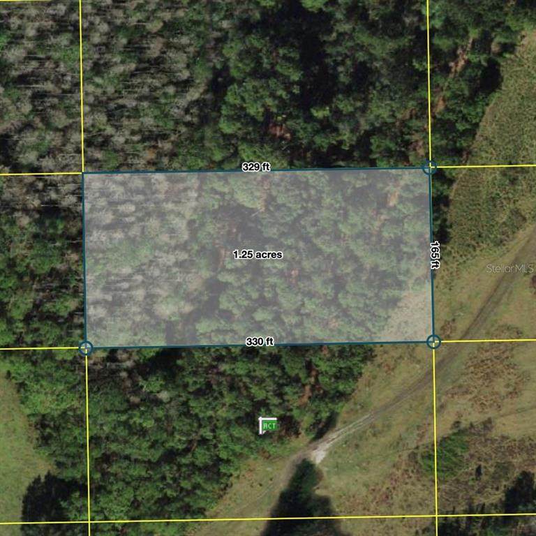  Polk City - Photo 1