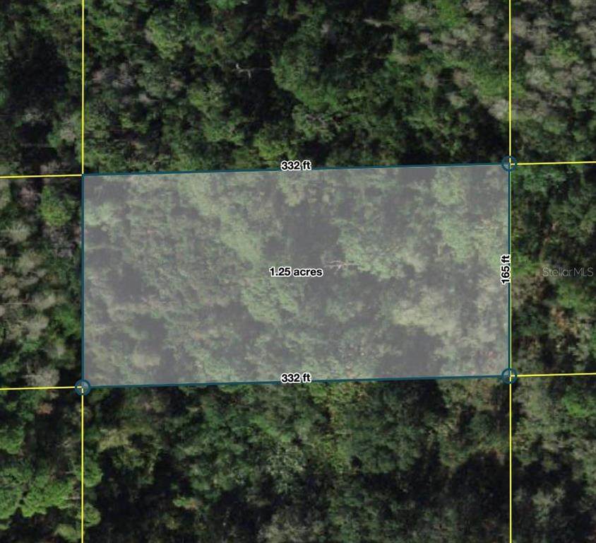  Polk City - Photo 1