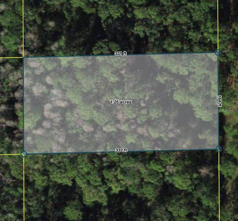  Polk City - Photo 1