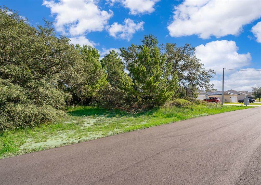 2017 Maple Lane - Photo 1