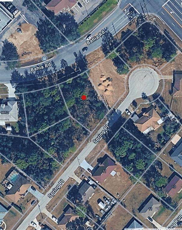 12 Spring Place - Photo 1