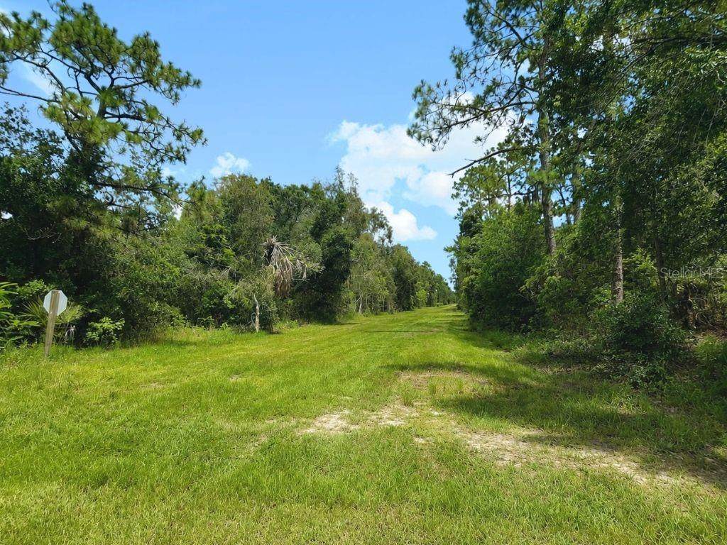 Blk 254 Lot 7 El Dorado Drive - Photo 1