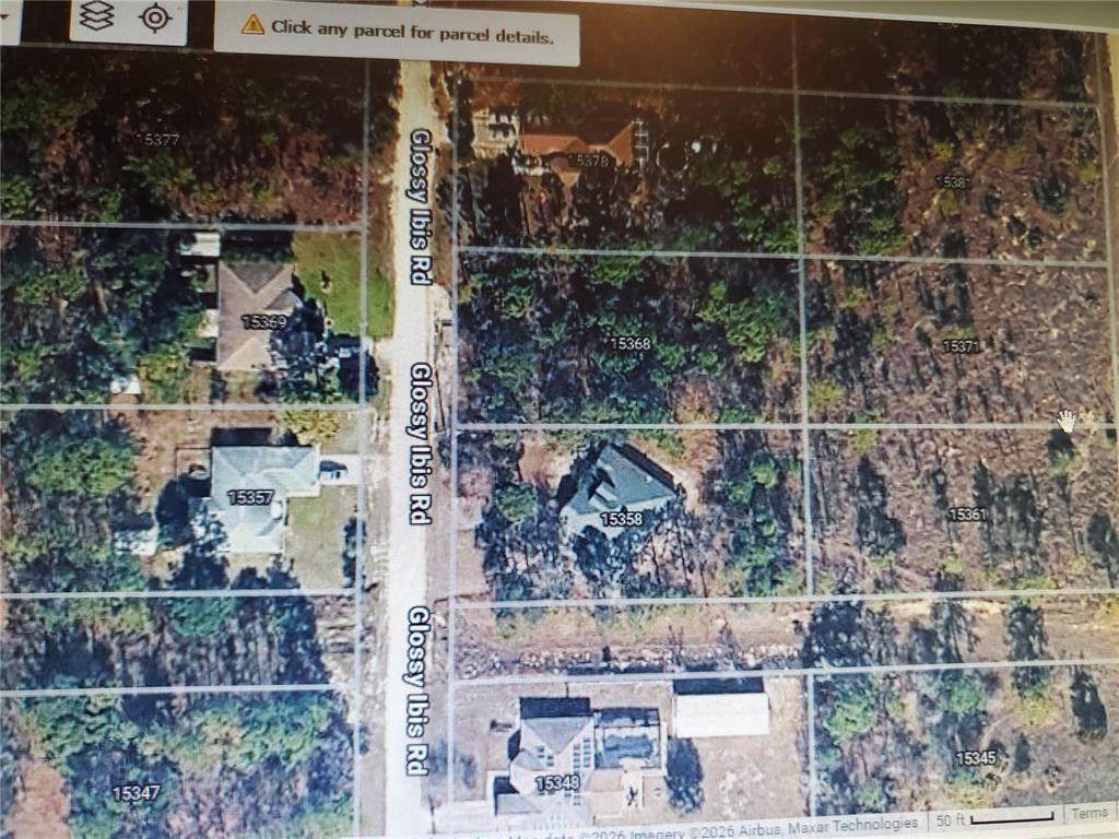15368 Glossy Ibis Road - Photo 1