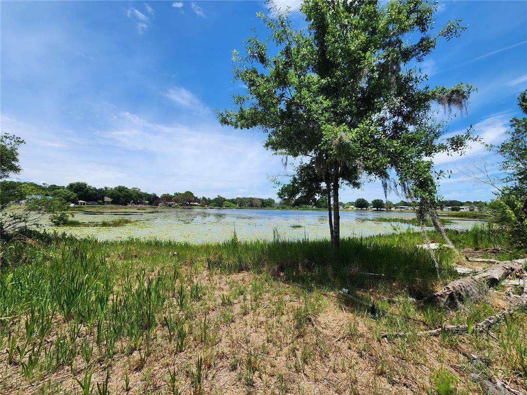  Arrowhead Boulevard - Photo 1