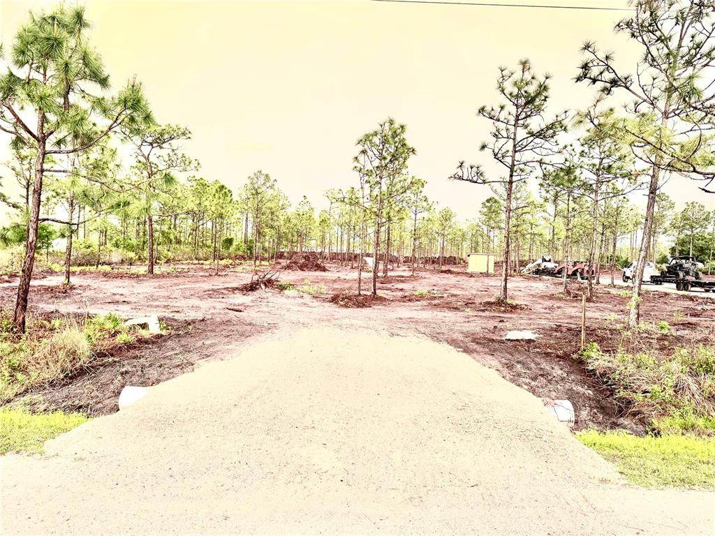 5116 Palangos Drive - Photo 1