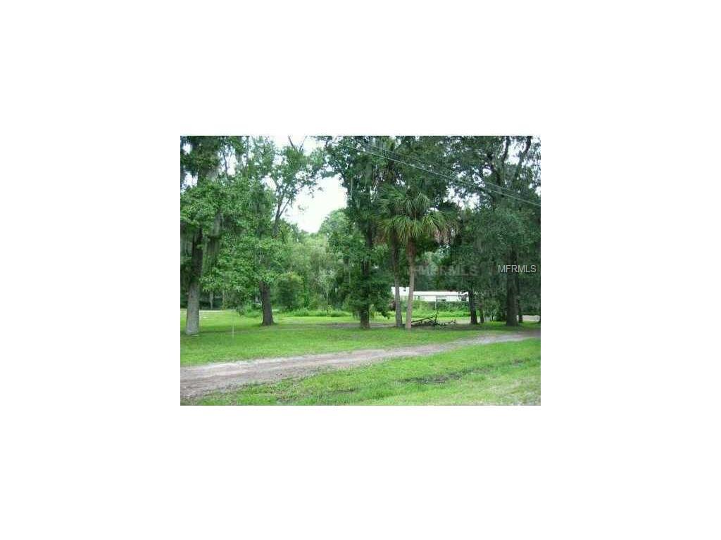 3915 Alafia Boulevard - Photo 1