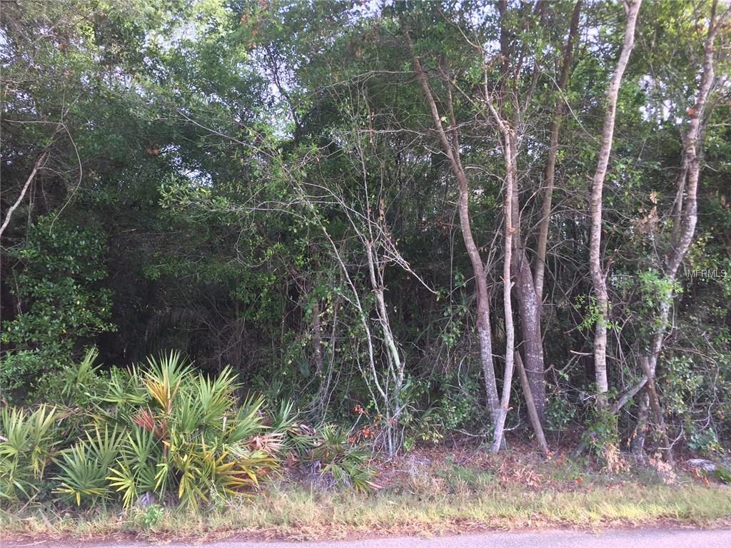 17744 Bledsoe Loop - Photo 1