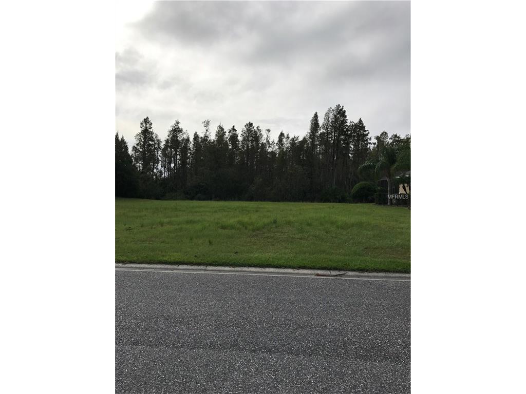 20454 Lace Cascade Road - Photo 1