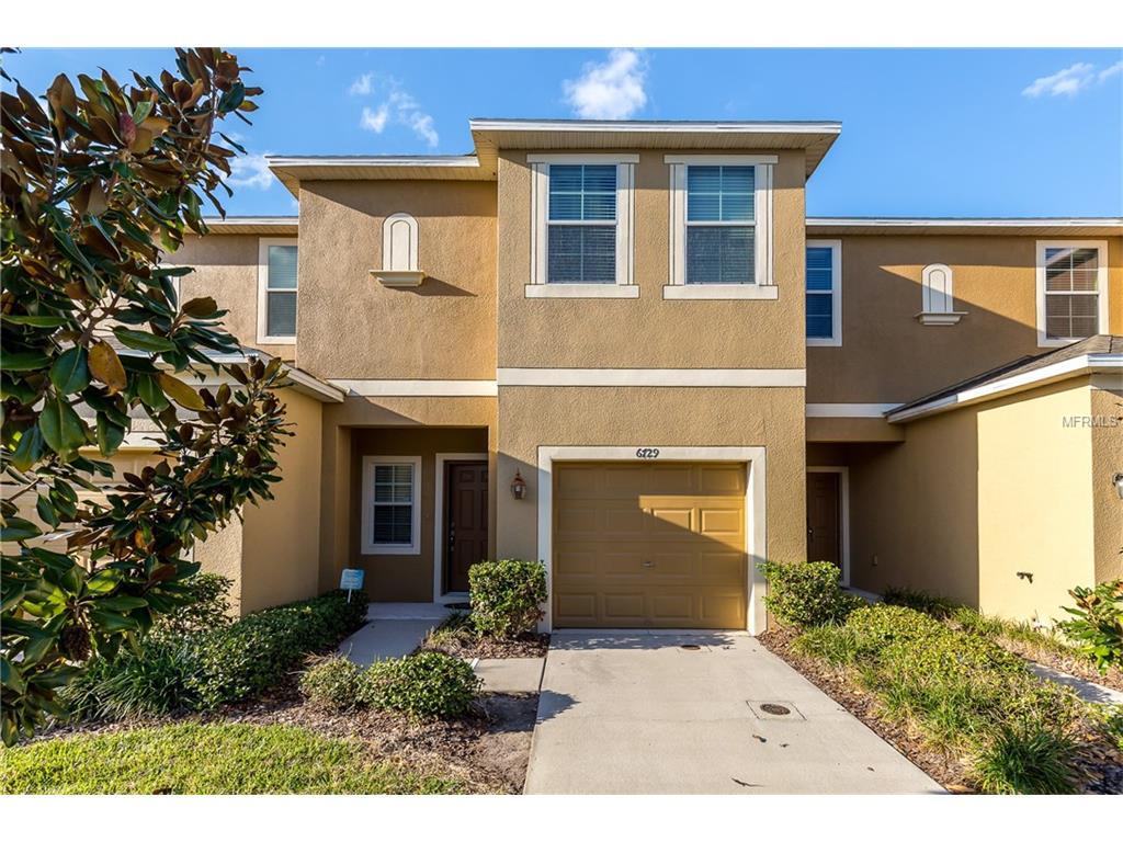 6729 Holly Heath Drive - Photo 1