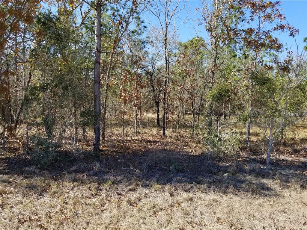 14151 Dusky Warbler Road - Photo 1