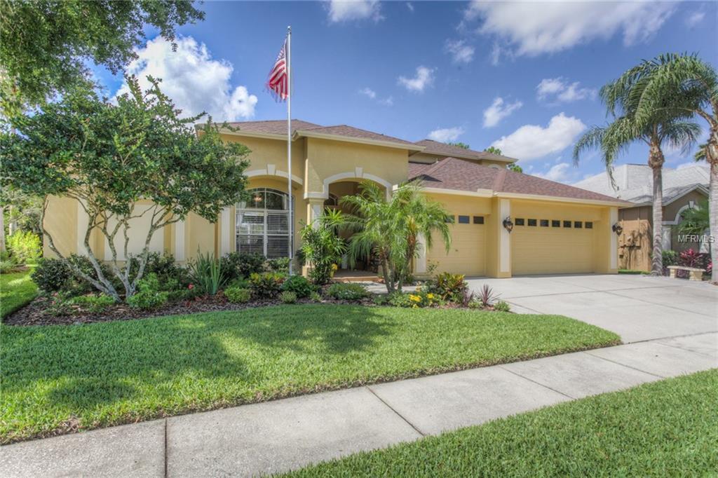 19203 Wind Dancer Street - Photo 1