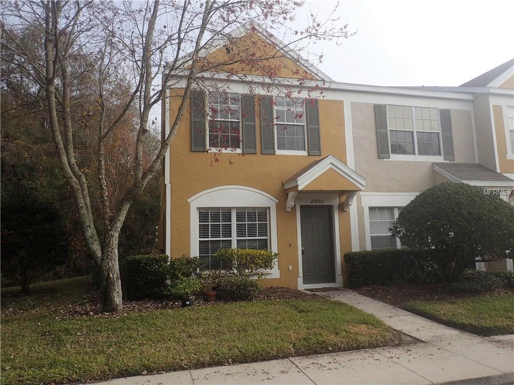 29945 Playa Del Rey Lane - Photo 1