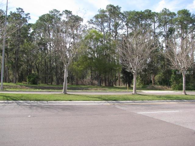 Park Road - Photo 1