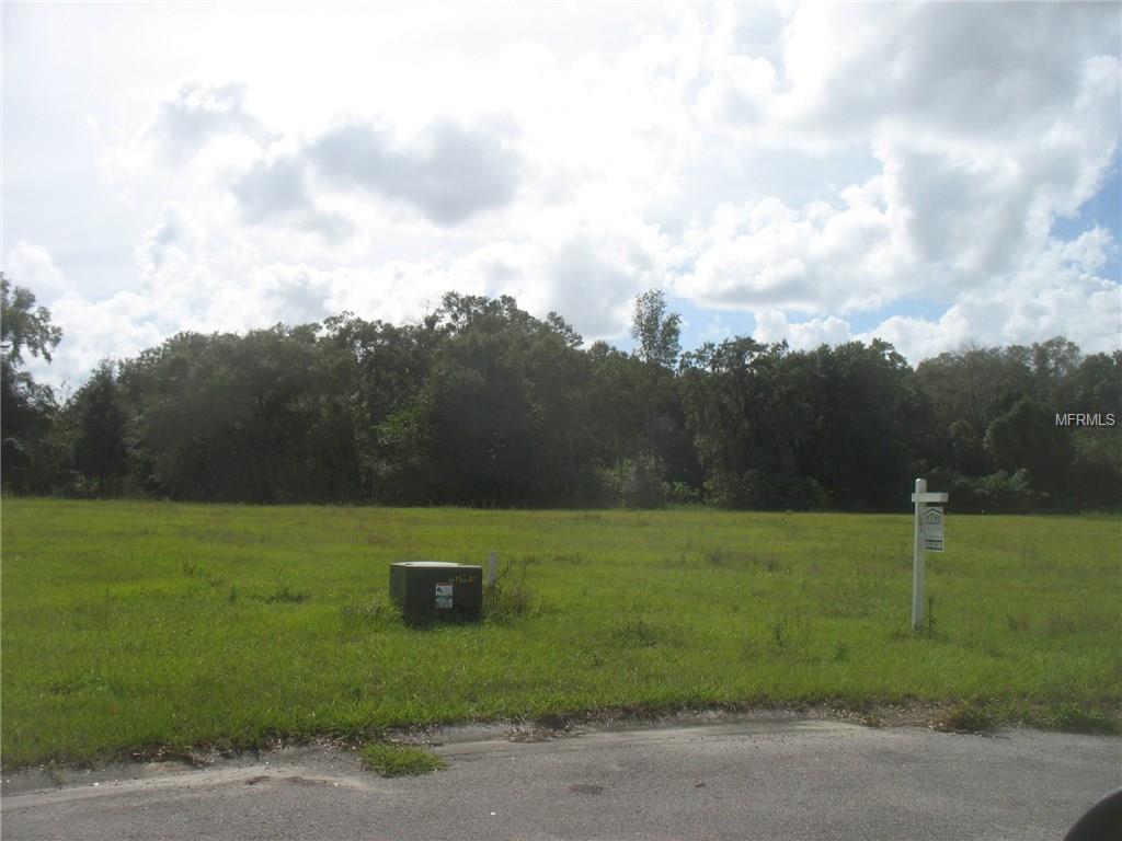 12705 Mcintosh Groves Lane - Photo 1