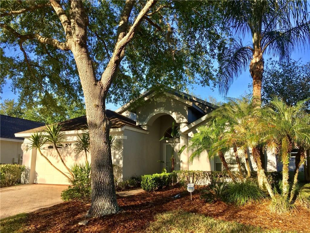 5205 Abbey Park Avenue - Photo 1