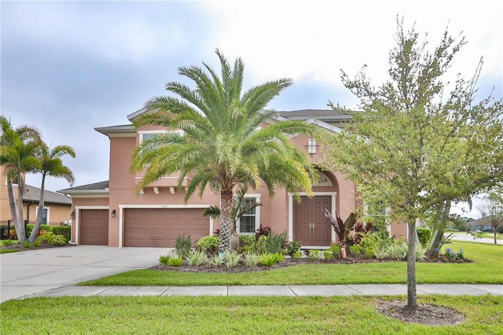 6651 Park Strand Drive - Photo 1
