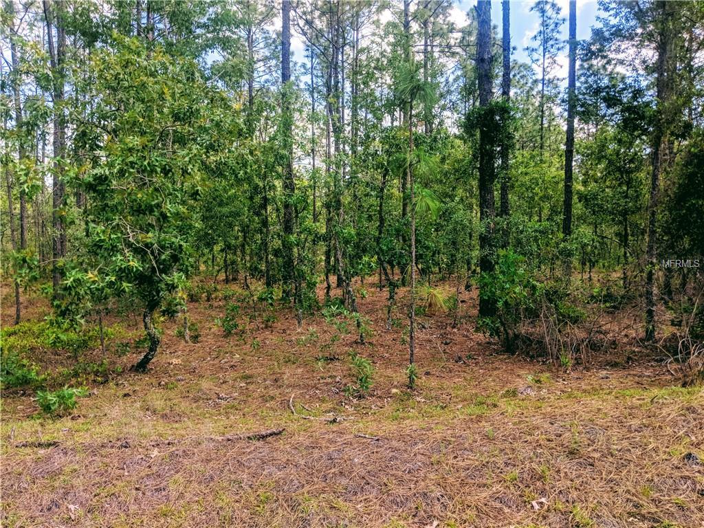0 Foxglove Lane - Photo 1