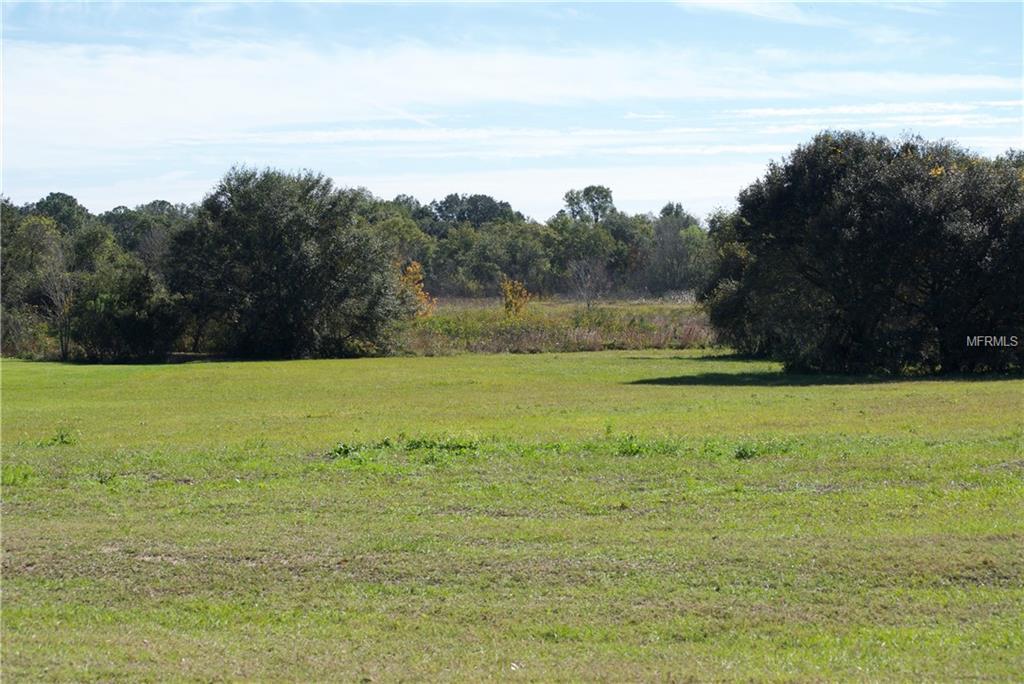 10633 Broadland Pass - Photo 1