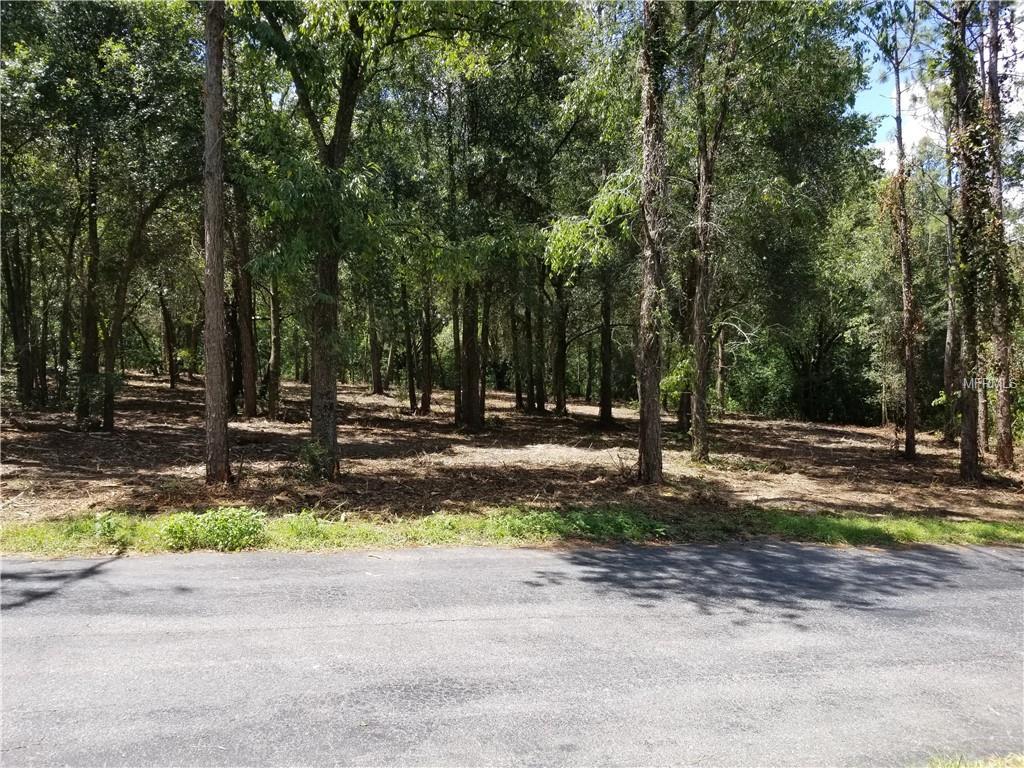 Pine Leaf Lane - Photo 1