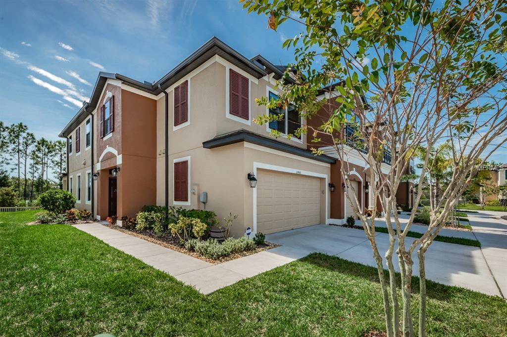 11450 Crowned Sparrow Lane - Photo 1