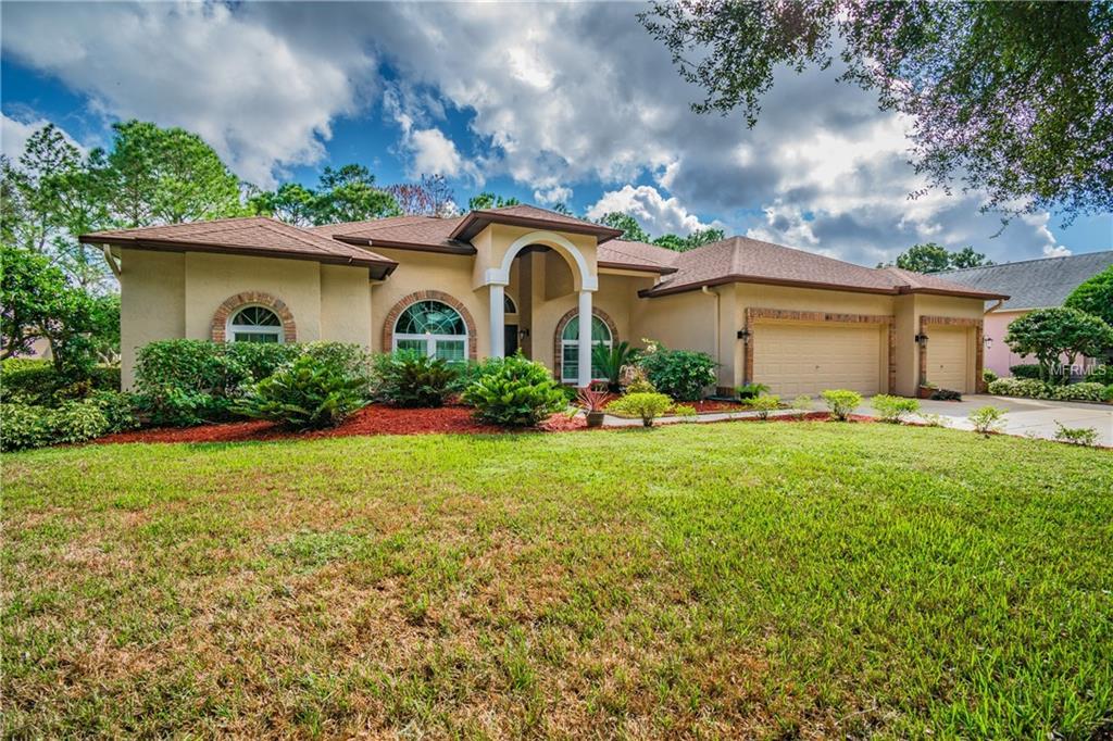 3816 Turkey Oak Drive - Photo 1