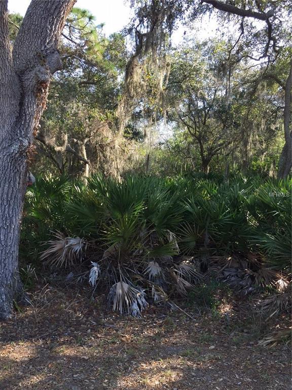 7821 Marsh Pointe Drive - Photo 1