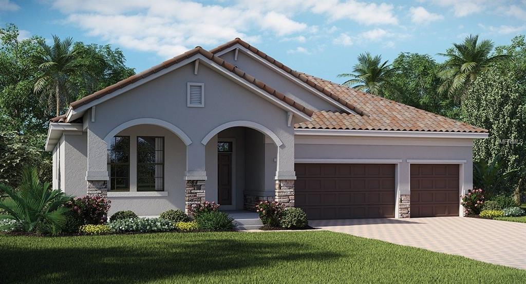 11971 Cinnamon Fern Drive - Photo 1