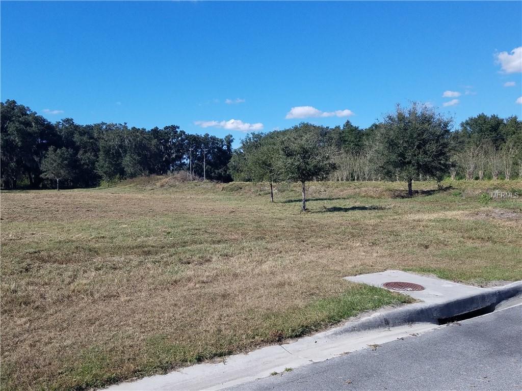 13700 Fishhawk Heights Run - Photo 1
