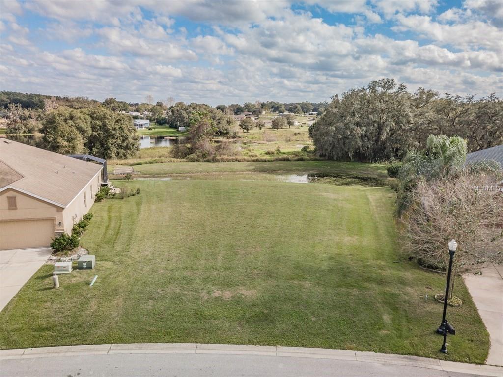 34652 Heavenly Lane - Photo 1