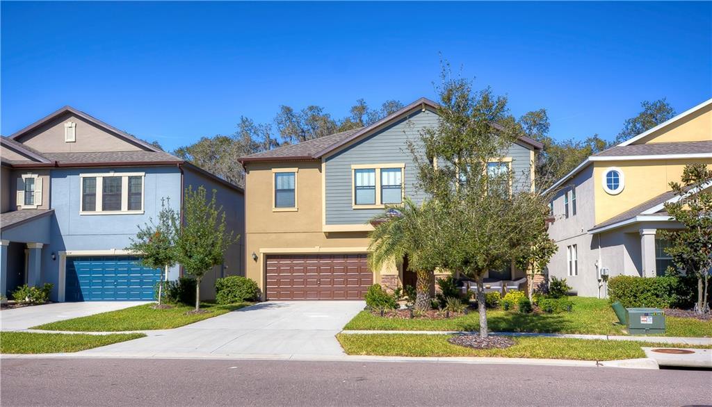 14216 Blue Dasher Drive - Photo 1