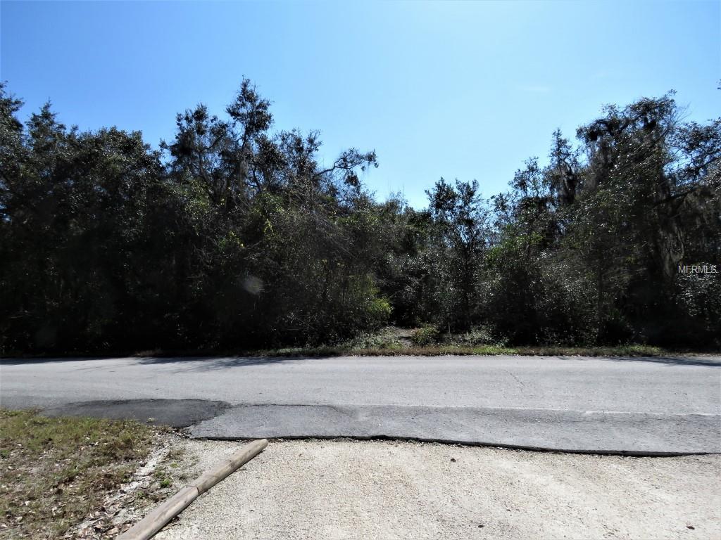 7558 Maggee Court - Photo 1