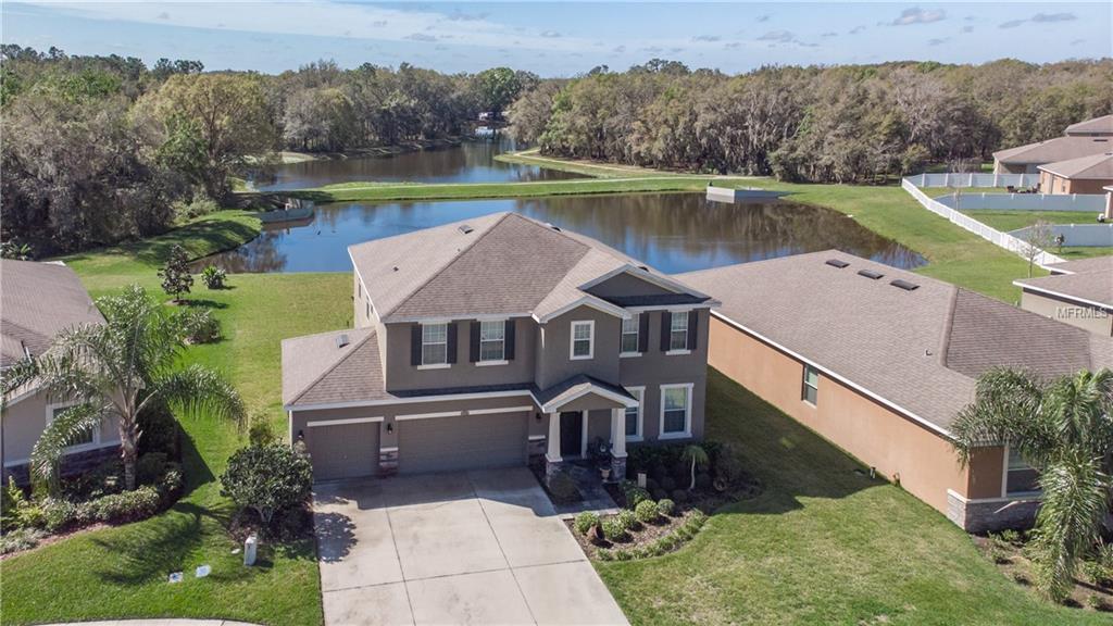 807 Bronze Bush Court - Photo 1