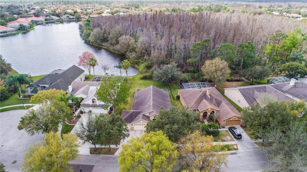 10237 Timberland Point Drive - Photo 1