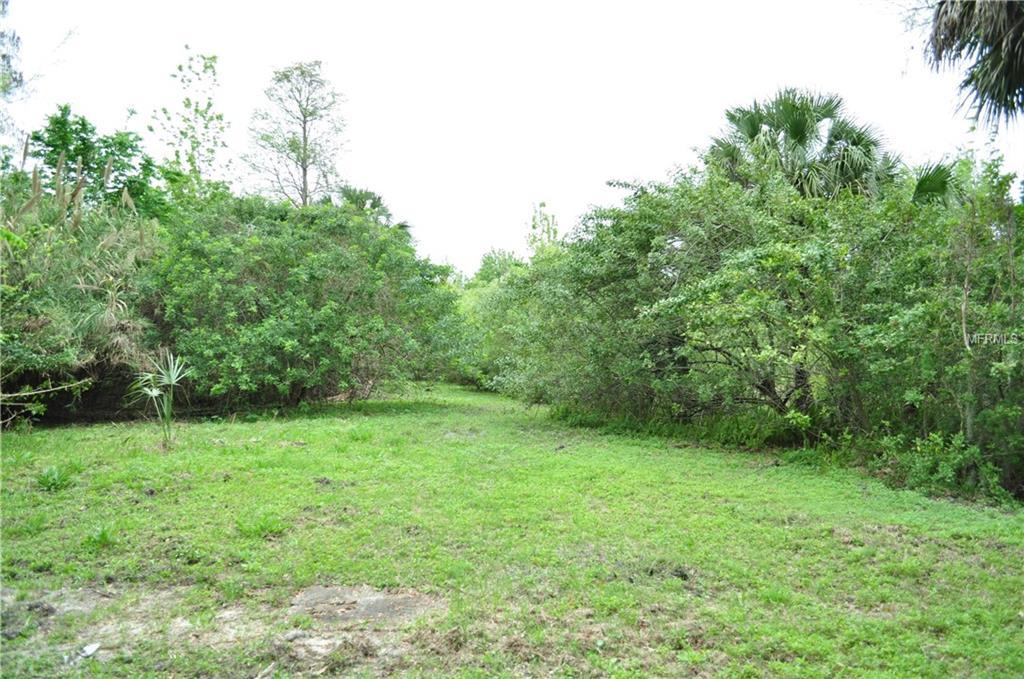 6414 Eureka Springs Road - Photo 1