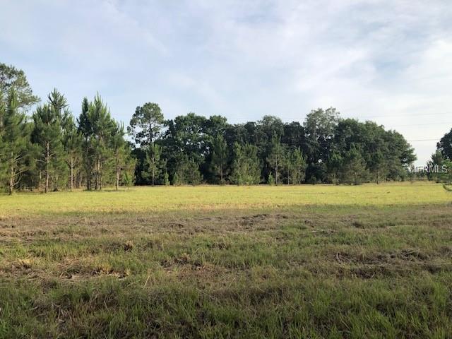 3015 Tina Marie Drive - Photo 1