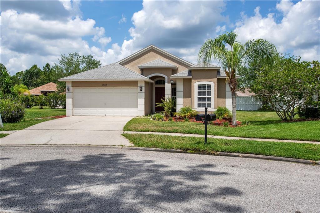 12504 Deerberry Lane - Photo 1