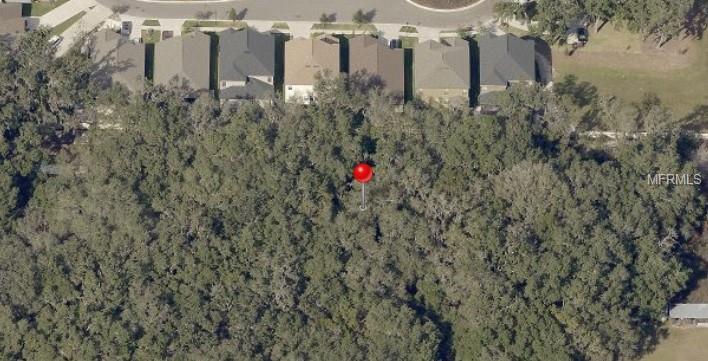 14206 Grubbs Lane - Photo 1